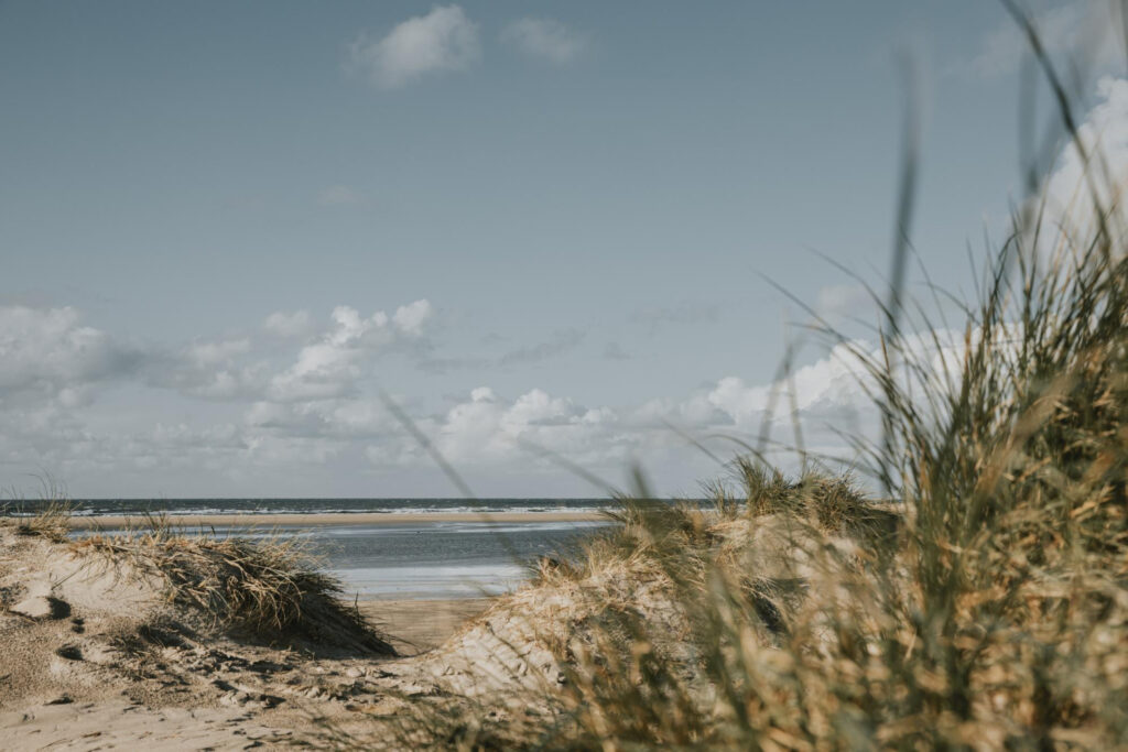 Dünenlandschaft auf Sylt